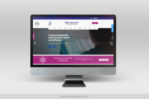 web dev hami solutions 1