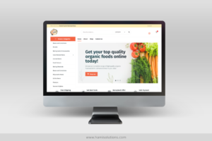 web dev hami solutions 5